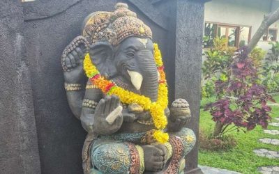 Bali und ich – Eine Hass-Liebe, die mich täglich herausfordert!